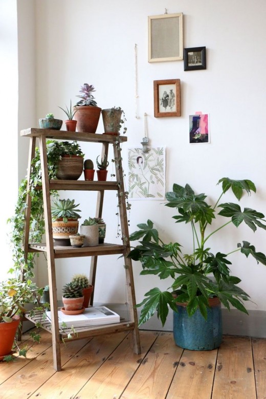 Ladder effect