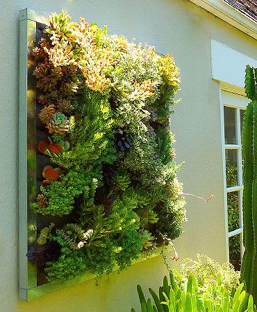 Indoor Green Walls