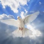 These Books will Change your Life Spiritual Journey