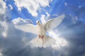Spiritual Journey