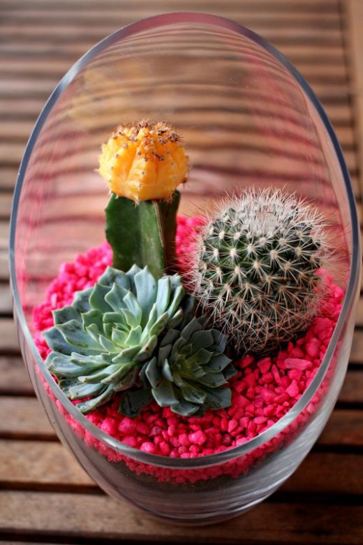 Glass Jar