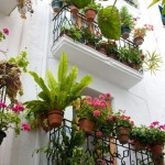 Beautiful Balconies