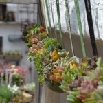 Recycling Old Kitchen Utensils For Growing Plants Recycled soup Ladles