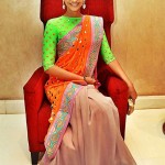 Color Blocked saree