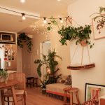Indoor Plants
