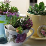 Teacup Planters Tea pot garden