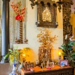 Decorating Plants Indoor- The Indian Way Decorating Plants indoor