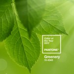 Pantone Color Of The Year 2017 Pantone color for the year 2017
