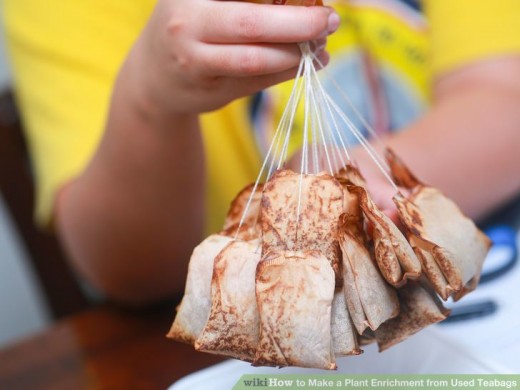 Used Tea Bags Uses