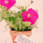 Gifting Plants As Wedding Favors Wedding favors