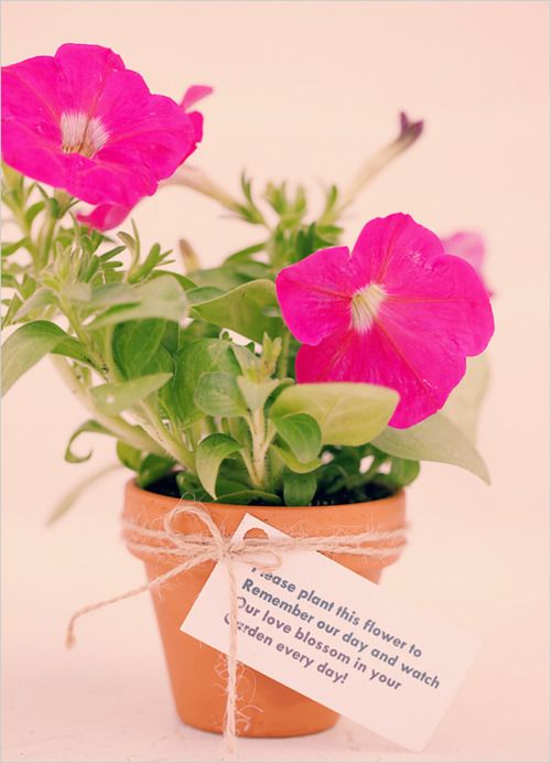 Wedding favors