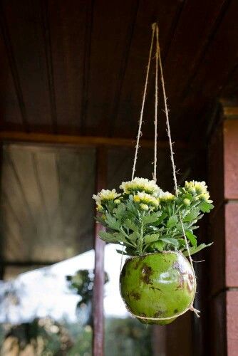 Coconut Shell planter pot