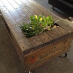 Nature inspired table with a live plant