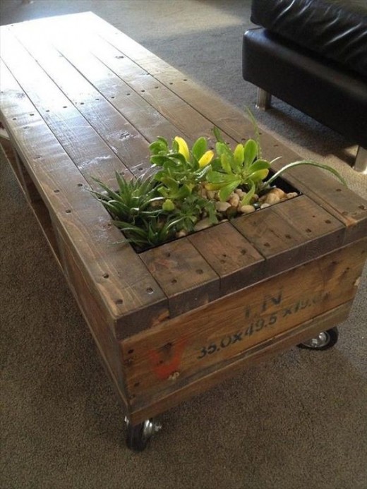 Nature inspired table with a live plant