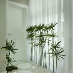 Pep Up The Entrance To The Rooms With These Interesting Decor Ideas Room entrance ideas with plants