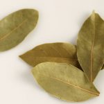 7 Benefits Of Burning Bay Leaves For Good Health And For Clearing Out Negative Energies Burning Bay leaf benefits