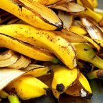 6 Natural Plant Fertilizers Which Can Be Prepared At Home Using Regular Kitchen Waste Natural fertilizer for plants using kitchen waste