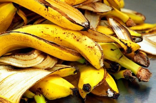 Natural fertilizer for plants using kitchen waste