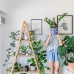 Indoor Plant Stands And Accessories To Watch Out For Use hanging pots for growing plants indoor