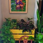5 Ways To Make Your Garden Look Chic And Peppy Adding colors to the graden