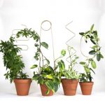 6 Topiary Miniatures Which You Can Create At Home Topiary miniature plants for home garden