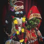 How To Celebrate Tulsi Vivah : Know The Rituals And Watch Complete Video Of Doing Vivah Pooja Tulsi Vivah rituals