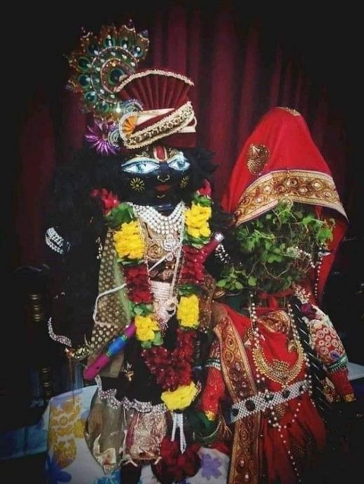 Tulsi Vivah rituals