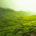 Incredible India- A Beautiful Video Which Shows The Geographic Diversity Of India Indian tourism