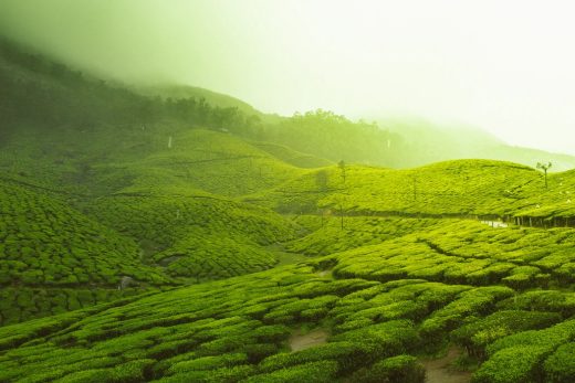 Indian tourism