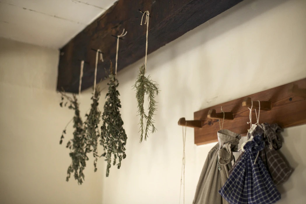 Dried herbs in kitchen