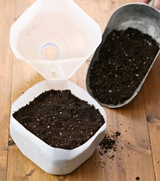 Use milk packets to grow plants