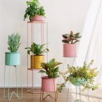 5 Planter Pots Which Are Excellent For Home Decor Plants pots for indoor plants and home decor