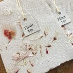 DIY seed bombs, how to gift seeds in different ways-Threads-WeRINdia