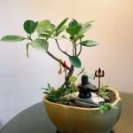 4 Ways To Create Your Own Mini Shivling Temple At Home Create mini shiva temple at home-Threads-WeRIndia